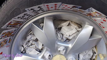 s6爆改炫色輪轂與車用床墊升級，生物技術開發服務的跨界融合