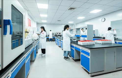 白酒科技如何賦能微生物 從茅臺鎮(zhèn)國臺酒的現(xiàn)代化實踐看生物技術(shù)服務(wù)新路徑